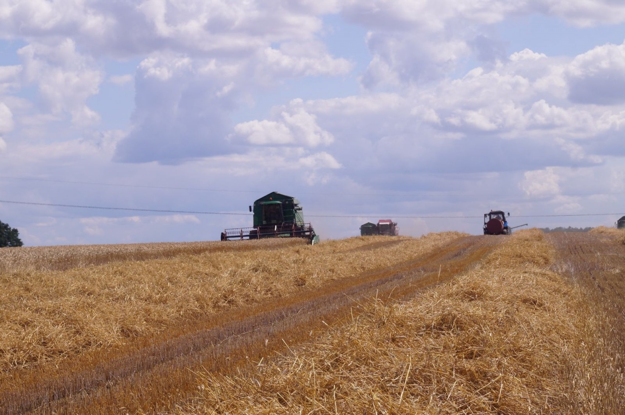 Уборочная кампания – 2019