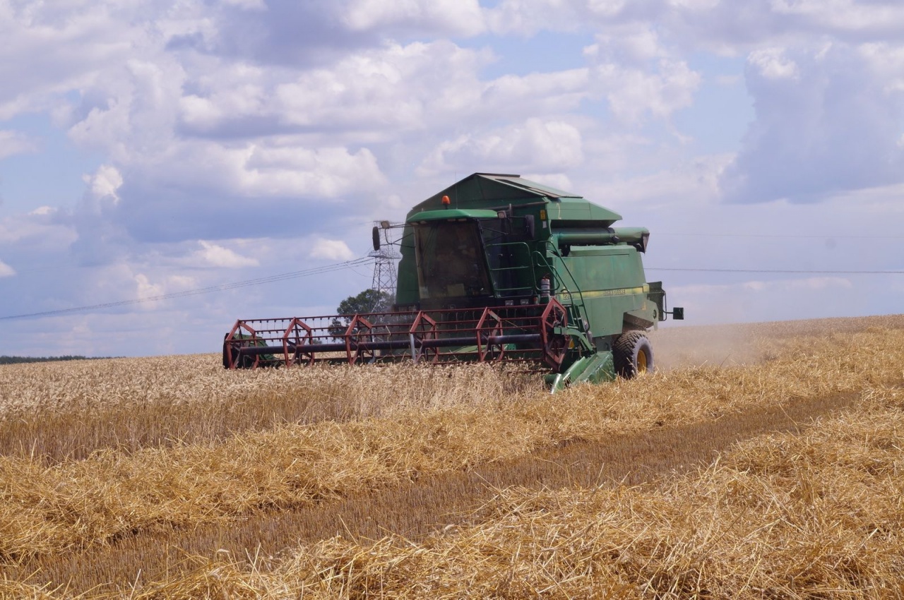 Уборочная кампания – 2019