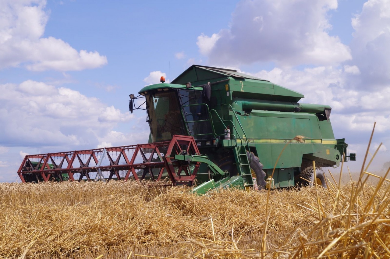 Уборочная кампания – 2019