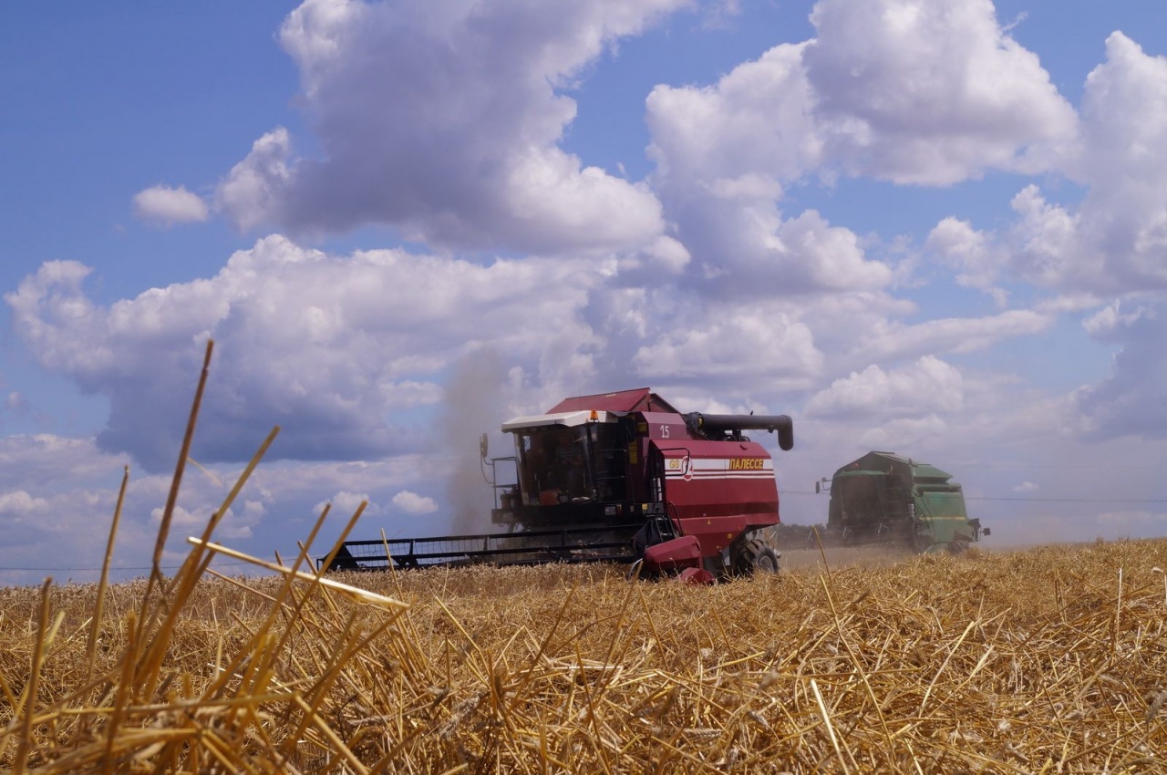 Уборочная кампания – 2019
