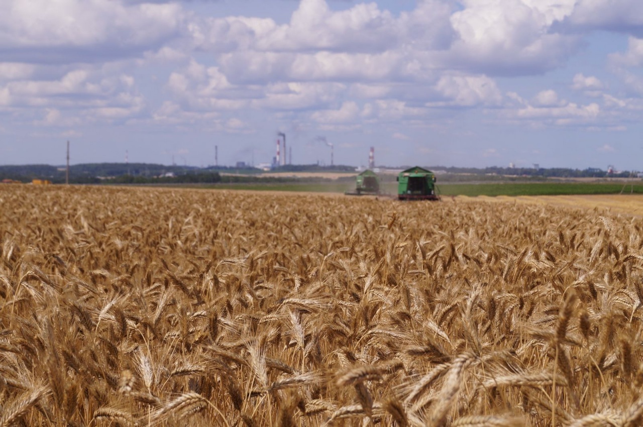 Уборочная кампания – 2019