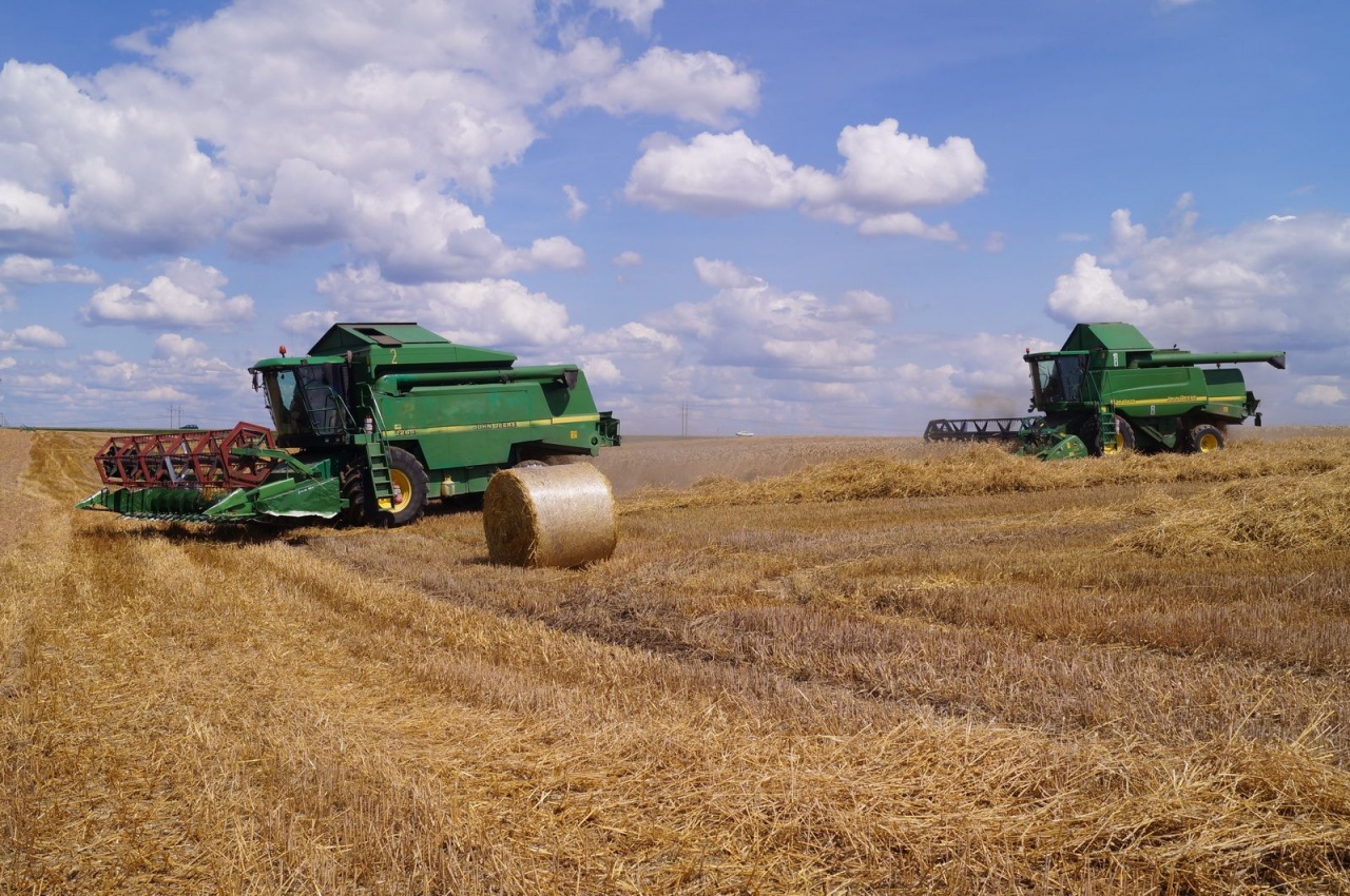 Уборочная кампания – 2019