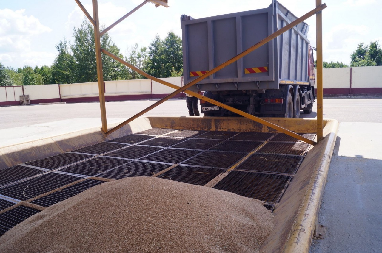 Уборочная кампания – 2019