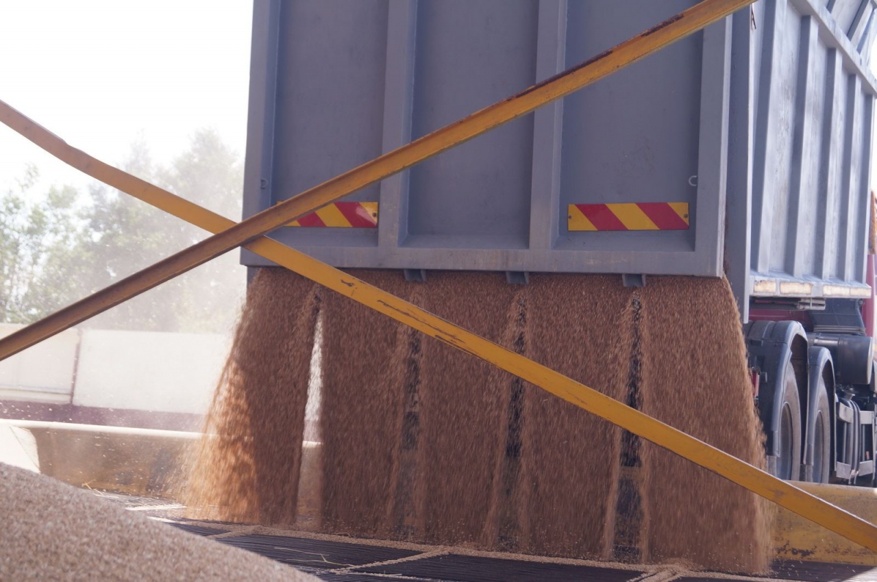 Уборочная кампания – 2019