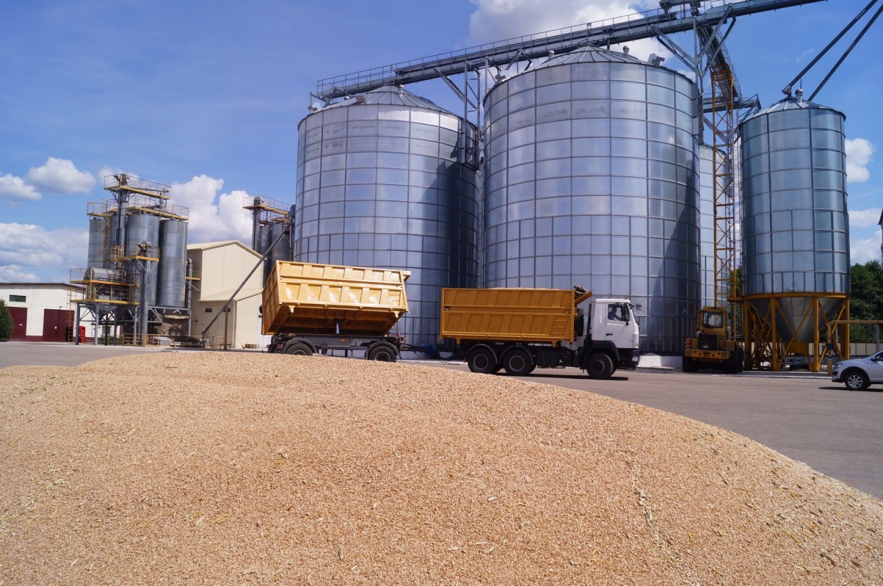 Уборочная кампания – 2019