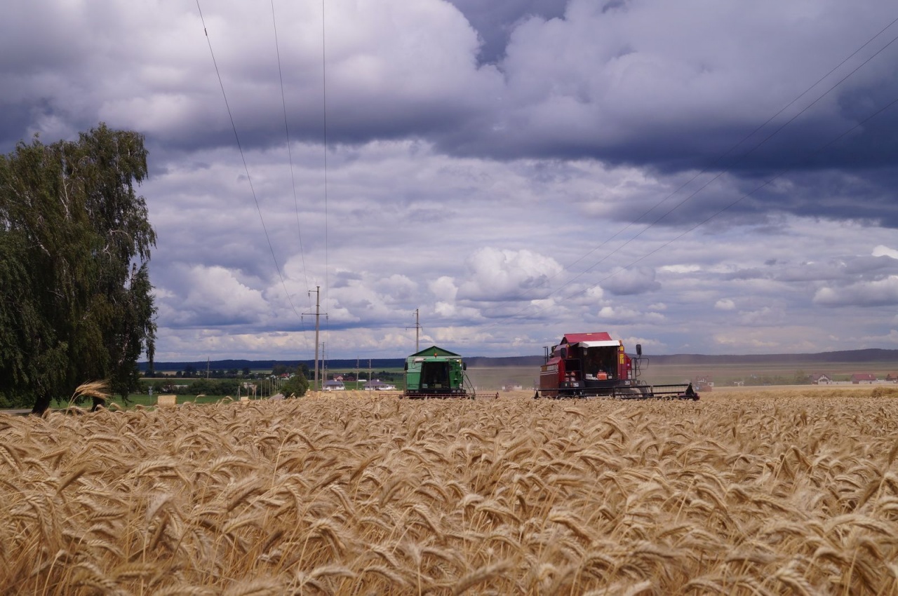 Уборочная кампания – 2019