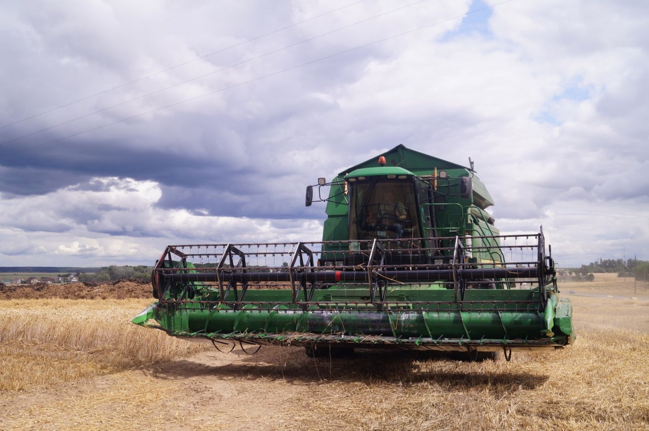 Уборочная кампания – 2019