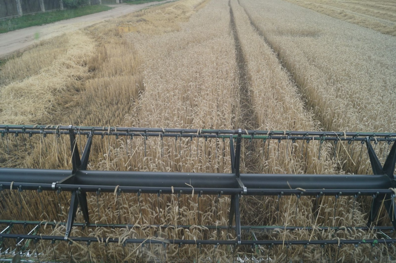 Уборочная кампания – 2019