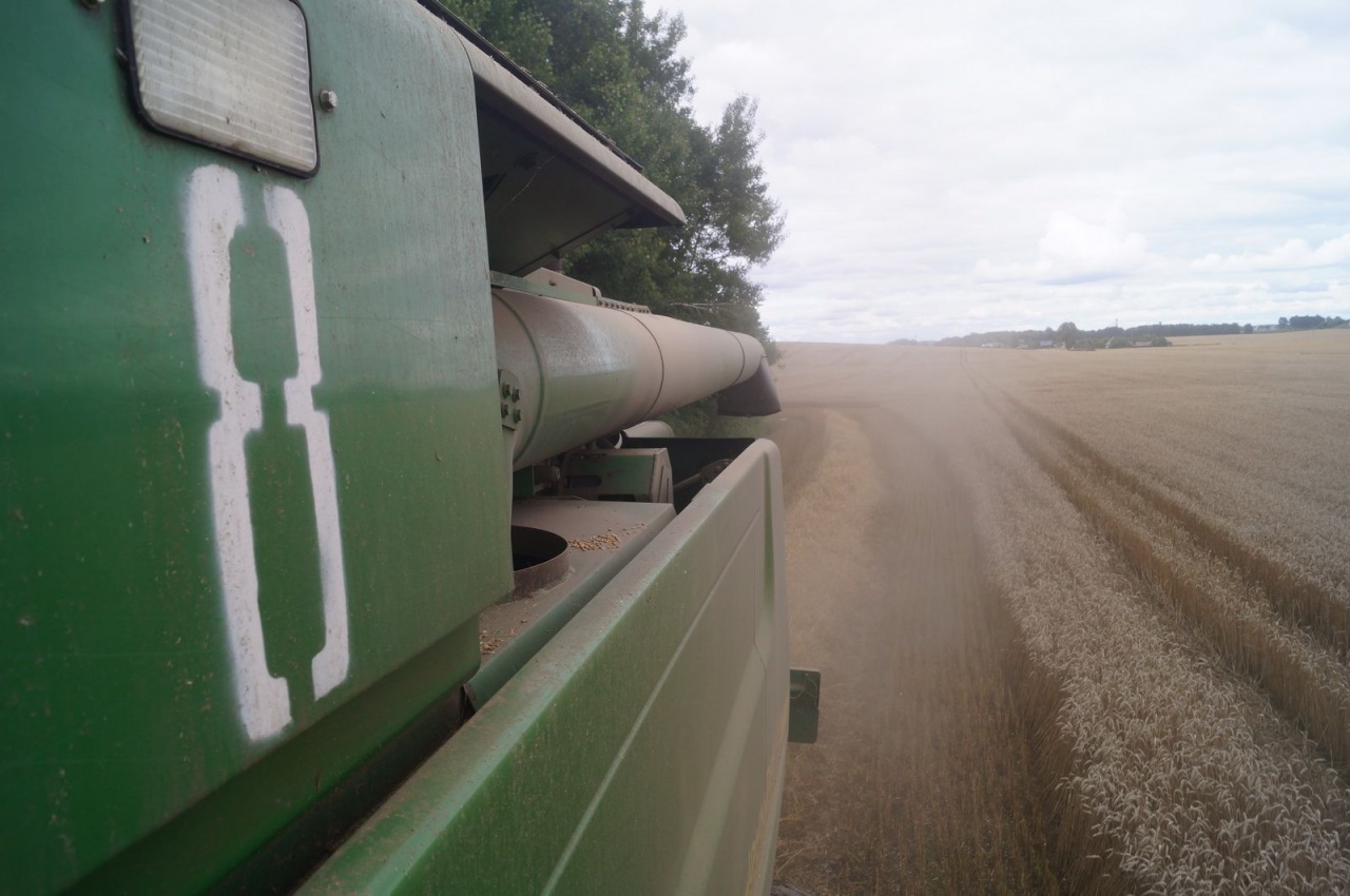 Уборочная кампания – 2019