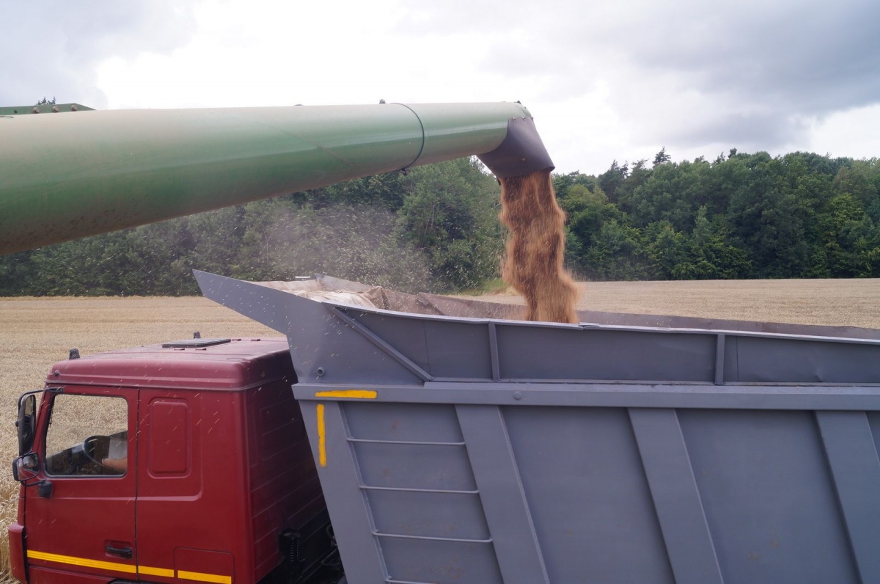 Уборочная кампания – 2019