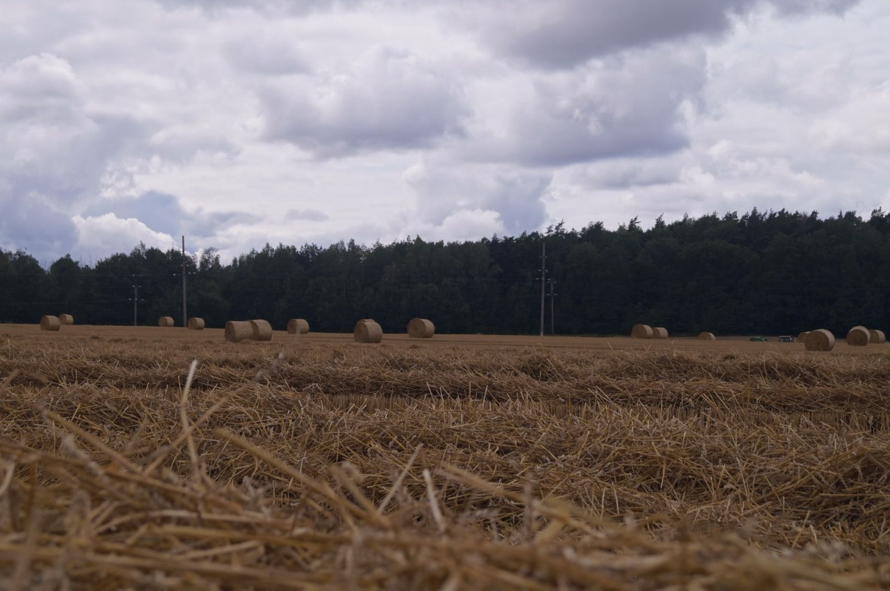 Уборочная кампания – 2019