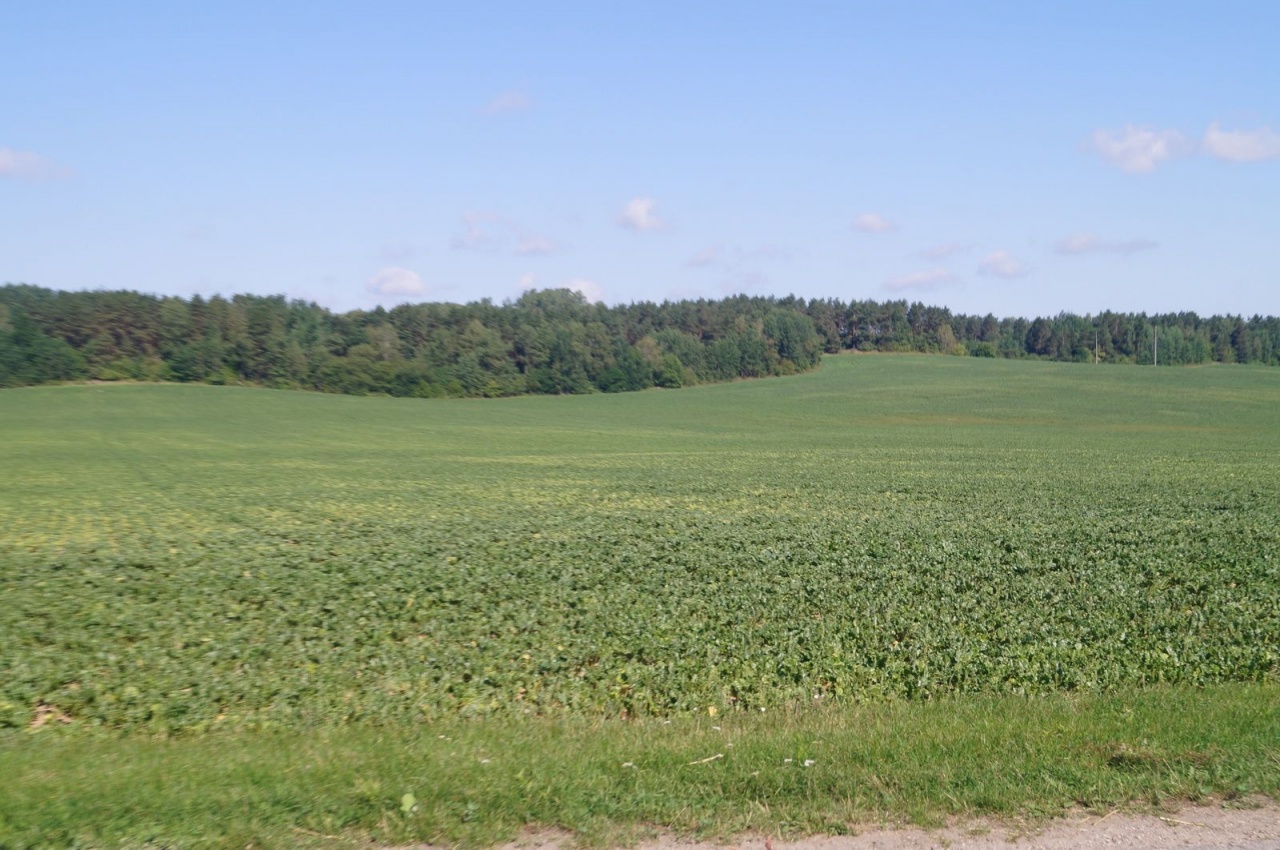 Уборочная кампания – 2019