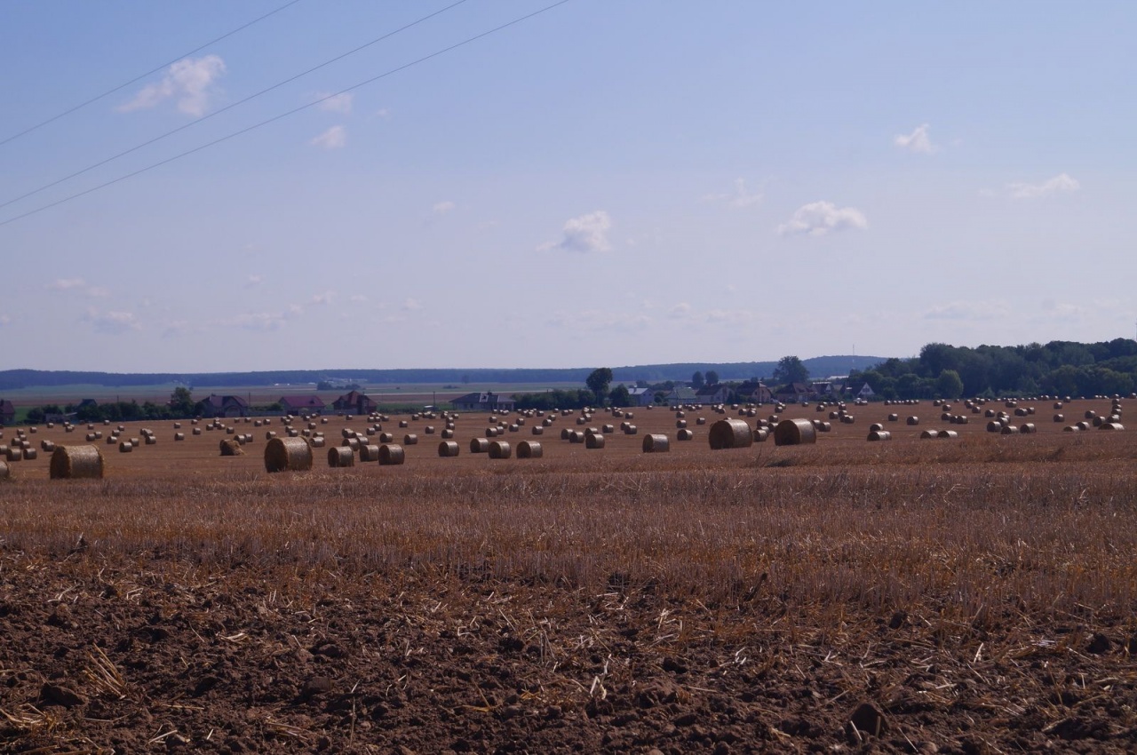 Уборочная кампания – 2019