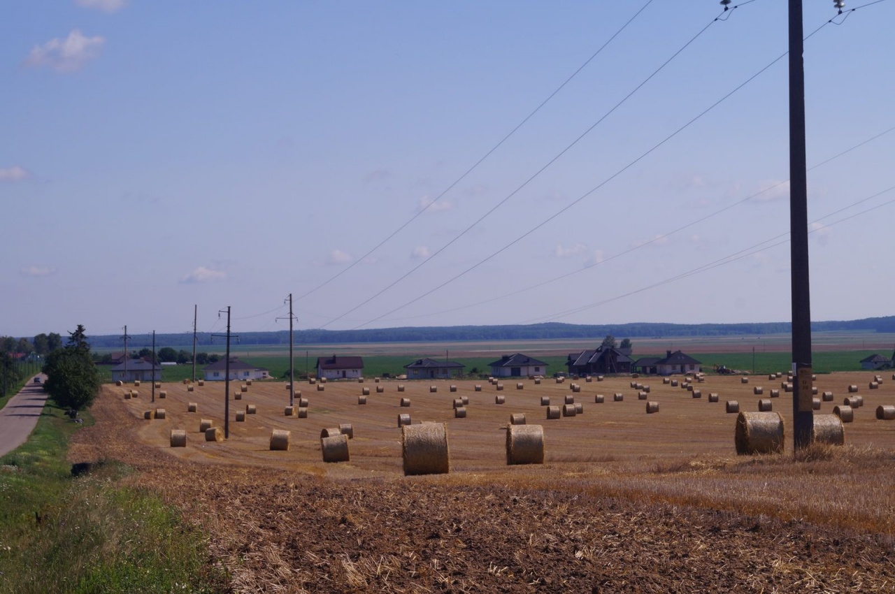 Уборочная кампания – 2019