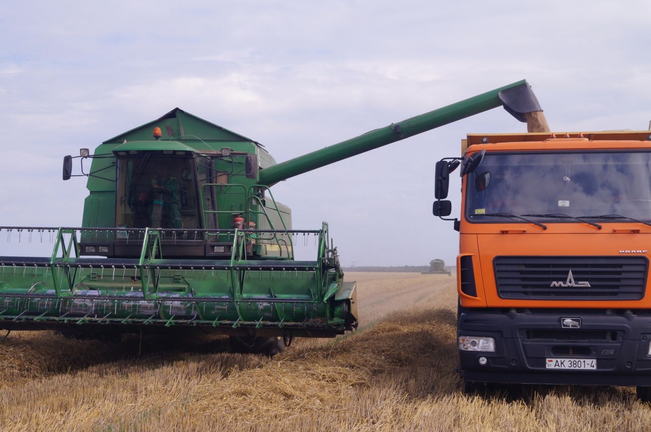 Уборочная кампания – 2019