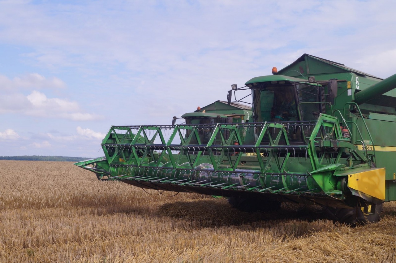 Уборочная кампания – 2019
