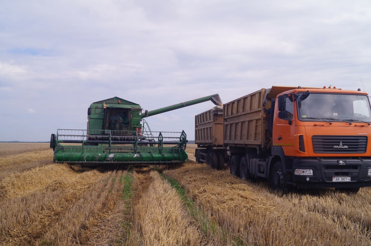 Уборочная кампания – 2019
