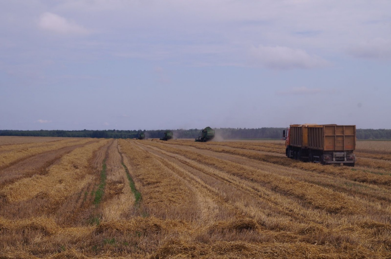 Уборочная кампания – 2019