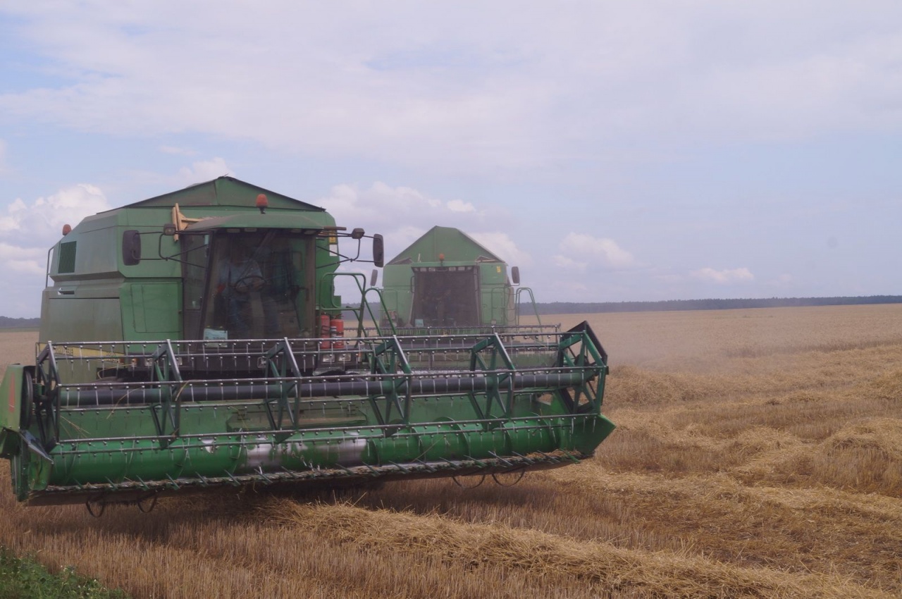 Уборочная кампания – 2019