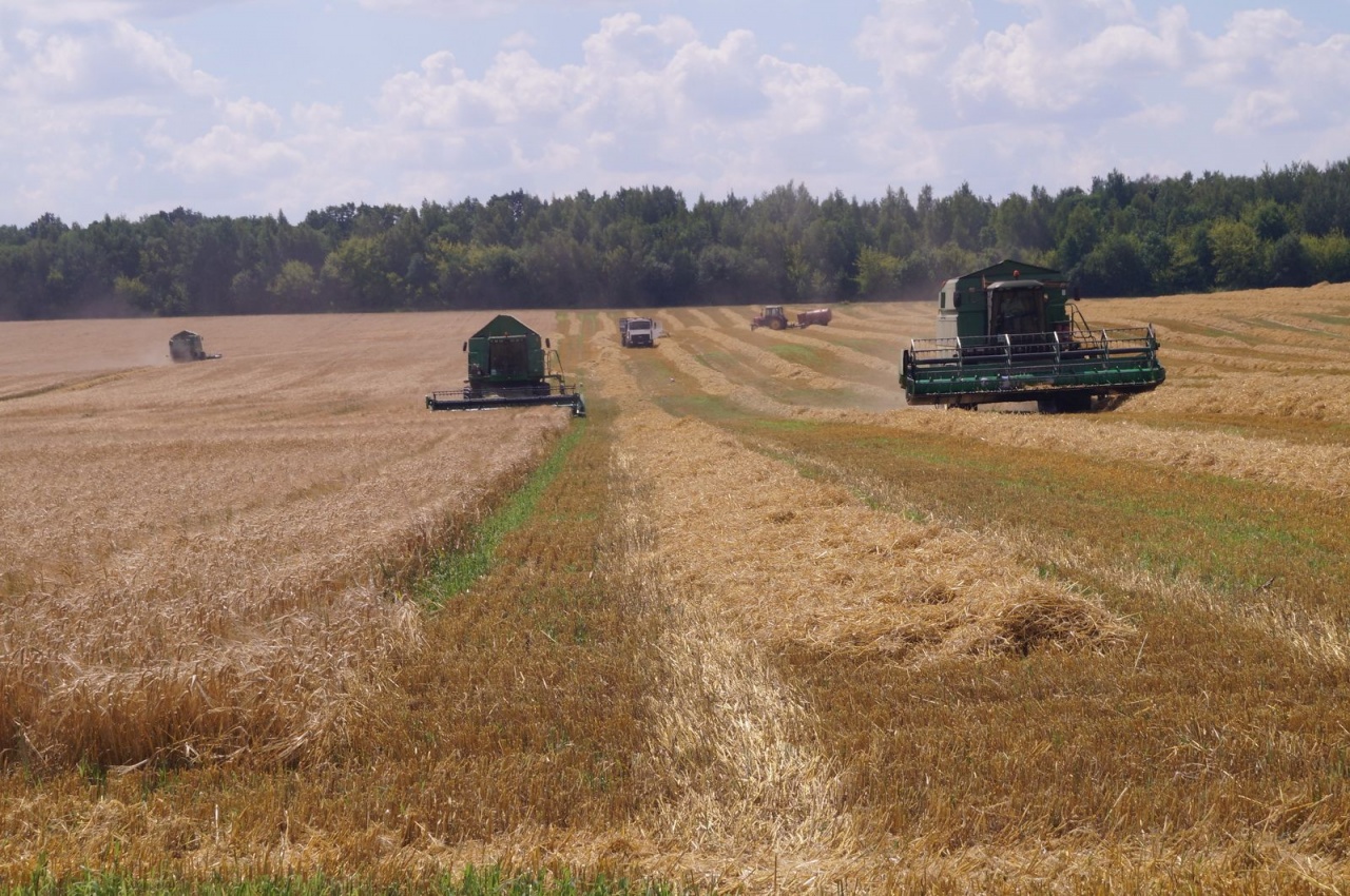Уборочная кампания – 2019