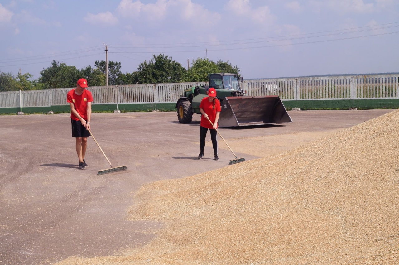 Уборочная кампания – 2019