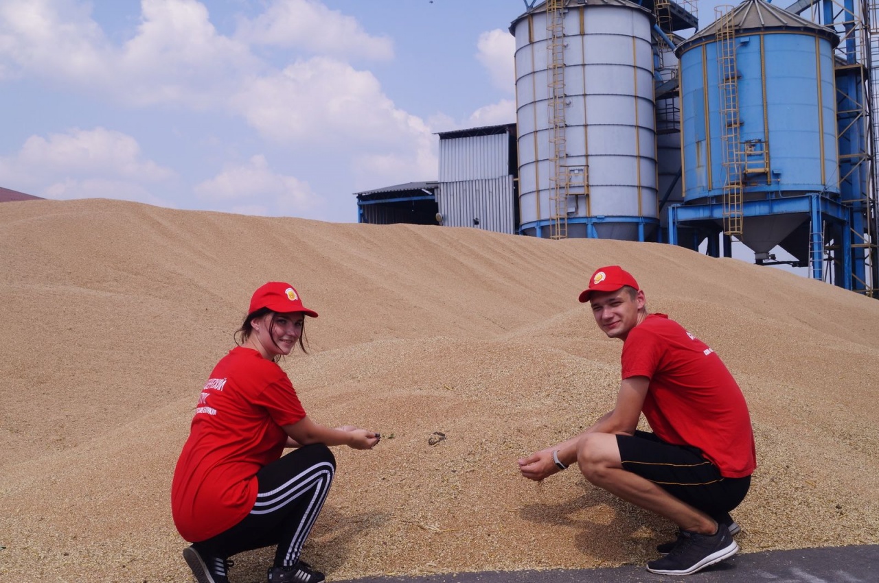 Уборочная кампания – 2019