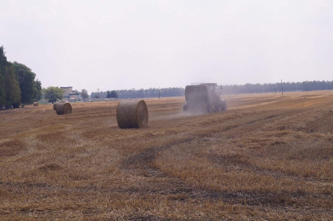 Уборочная кампания – 2019