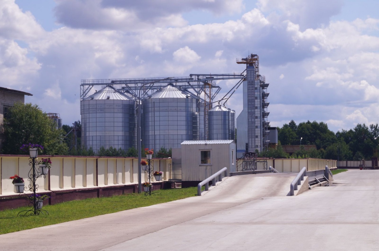 Уборочная кампания – 2019