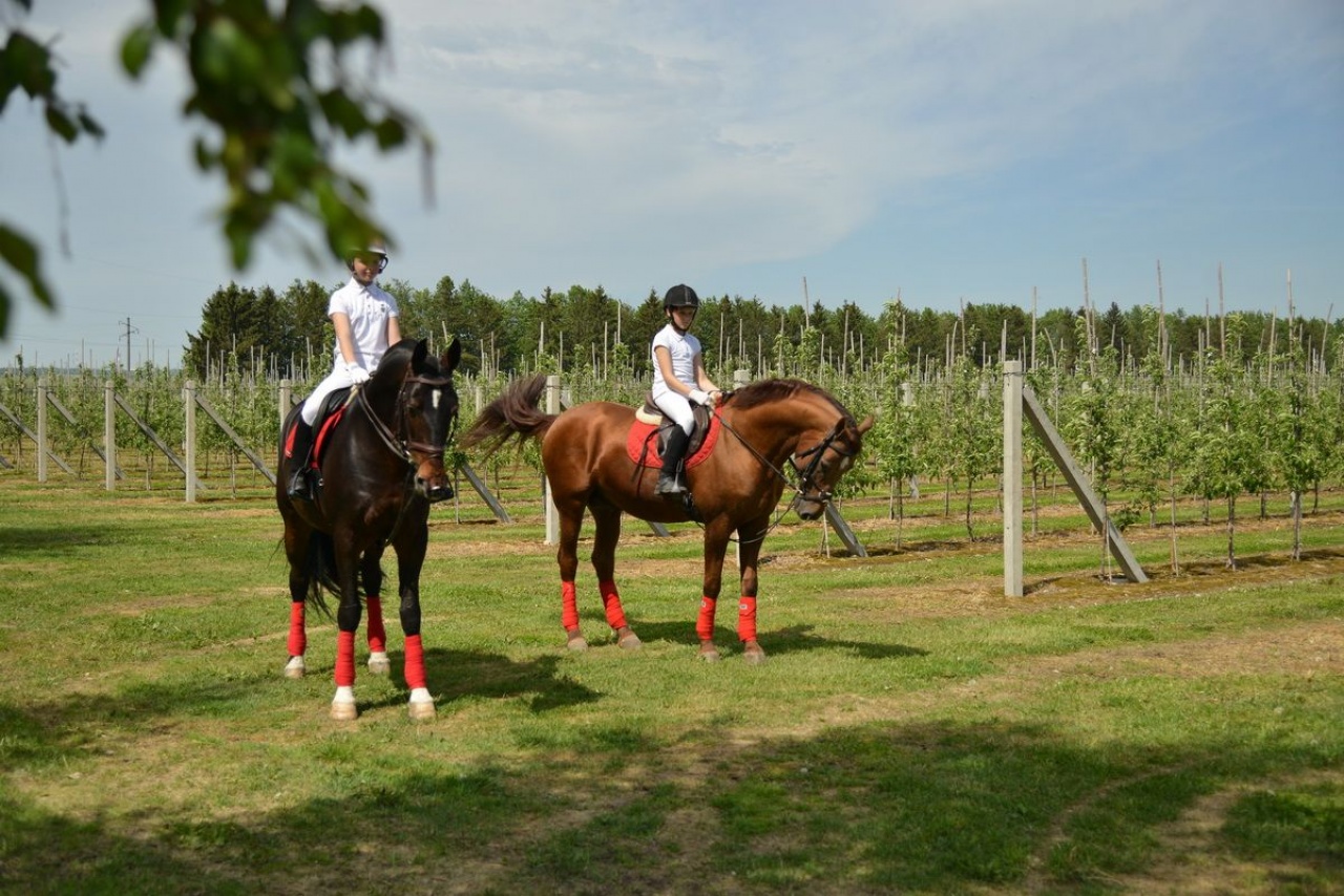 «Пламя мира»