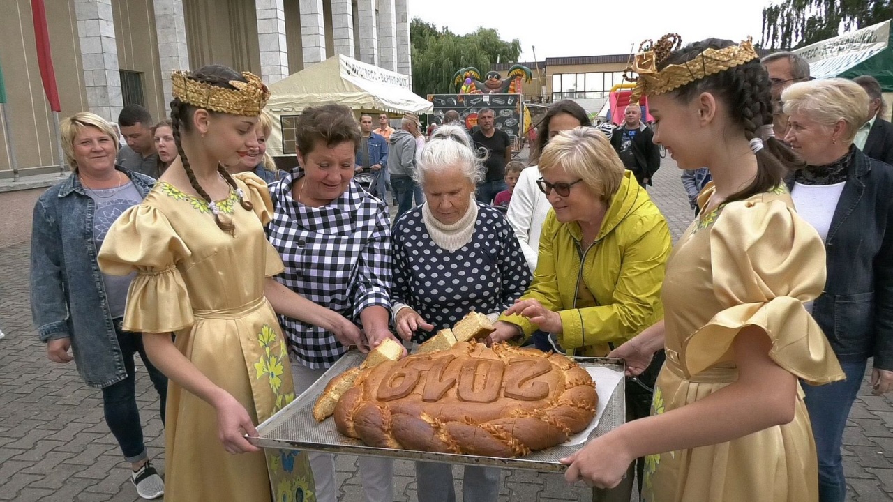 «Дожинки – 2019»