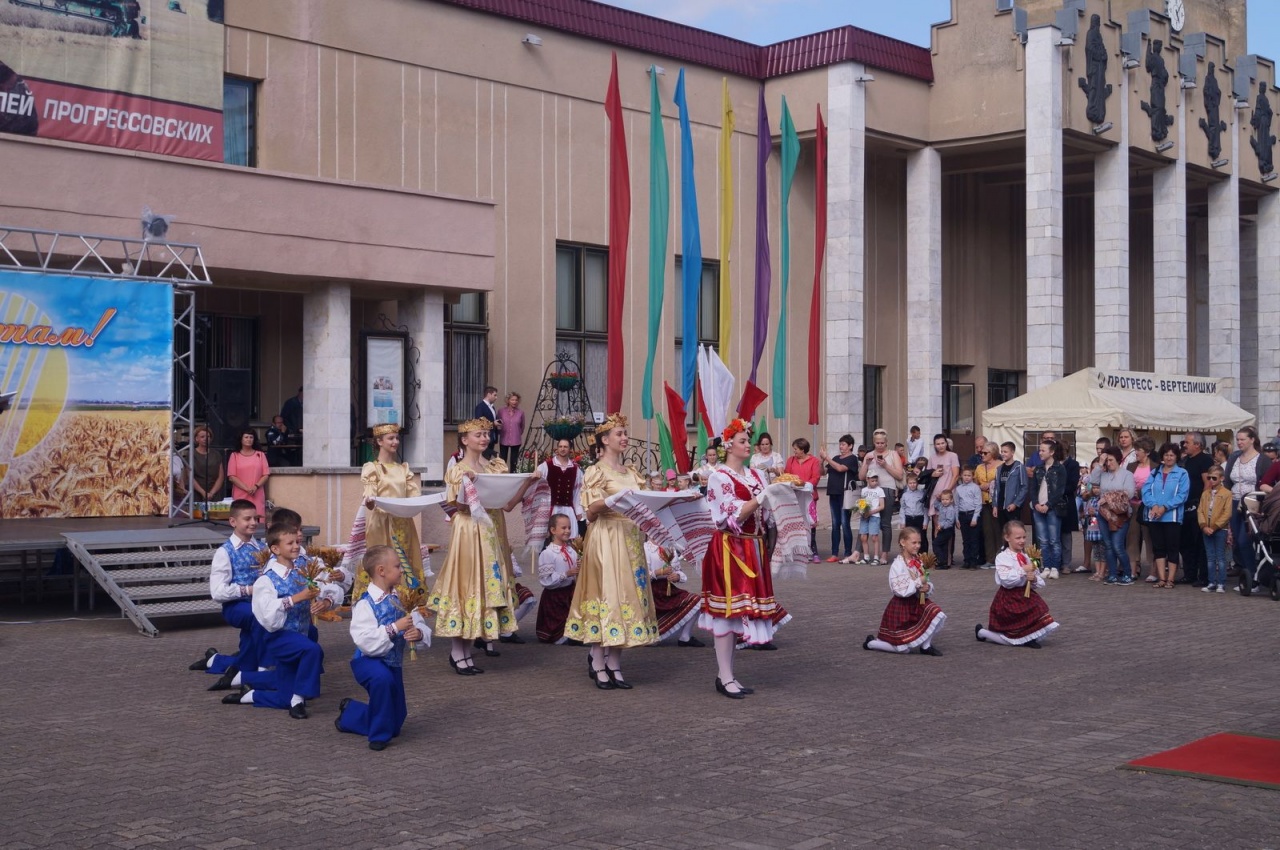 «Дожинки – 2019»