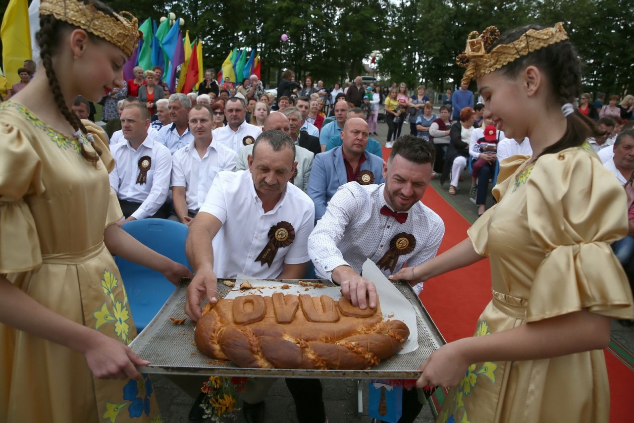 «Дожинки – 2019»