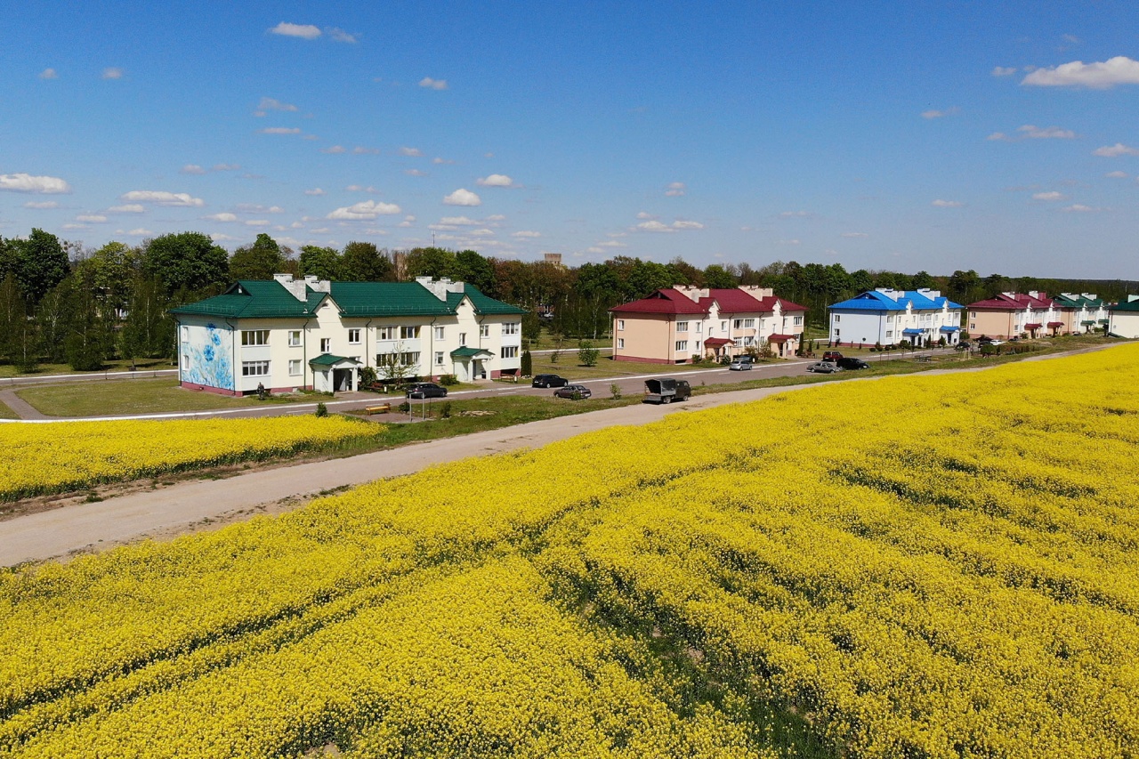 Вертелишки с высоты