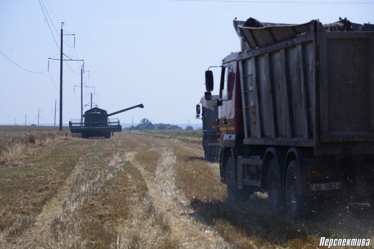 В СПК «Прогресс-Вертелишки» активно идет уборка озимого ячменя