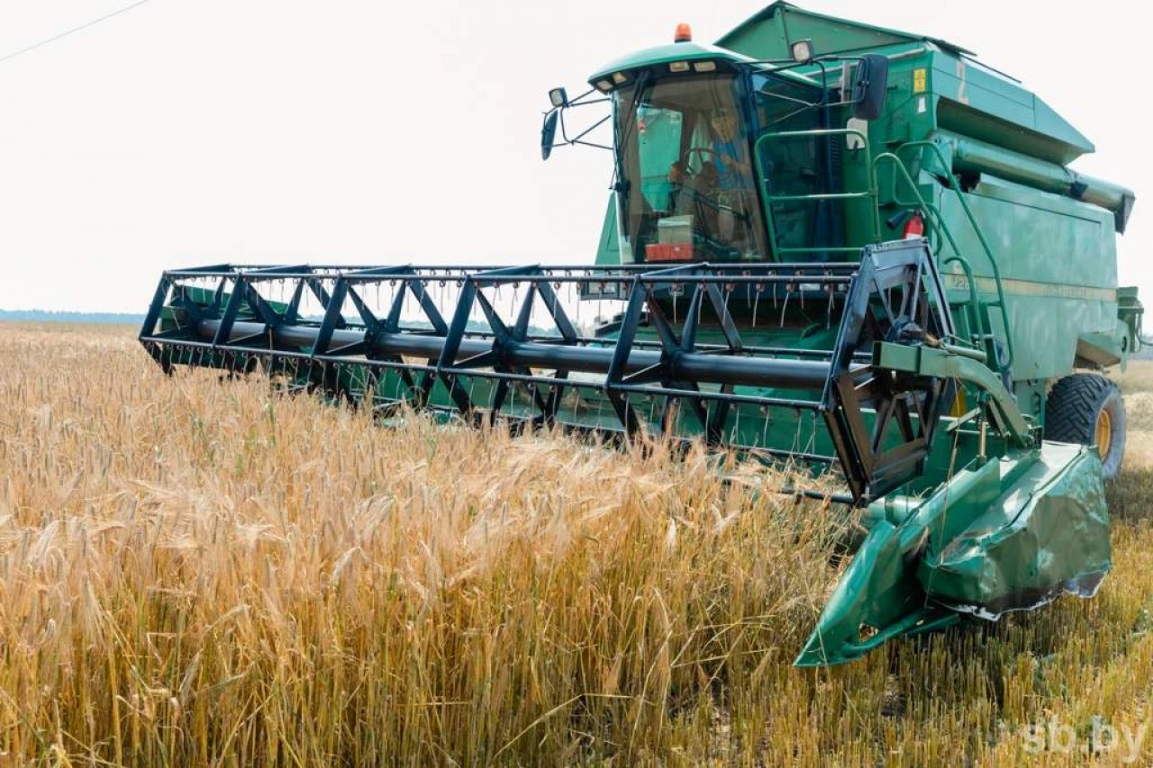Уборка озимого ячменя 2021