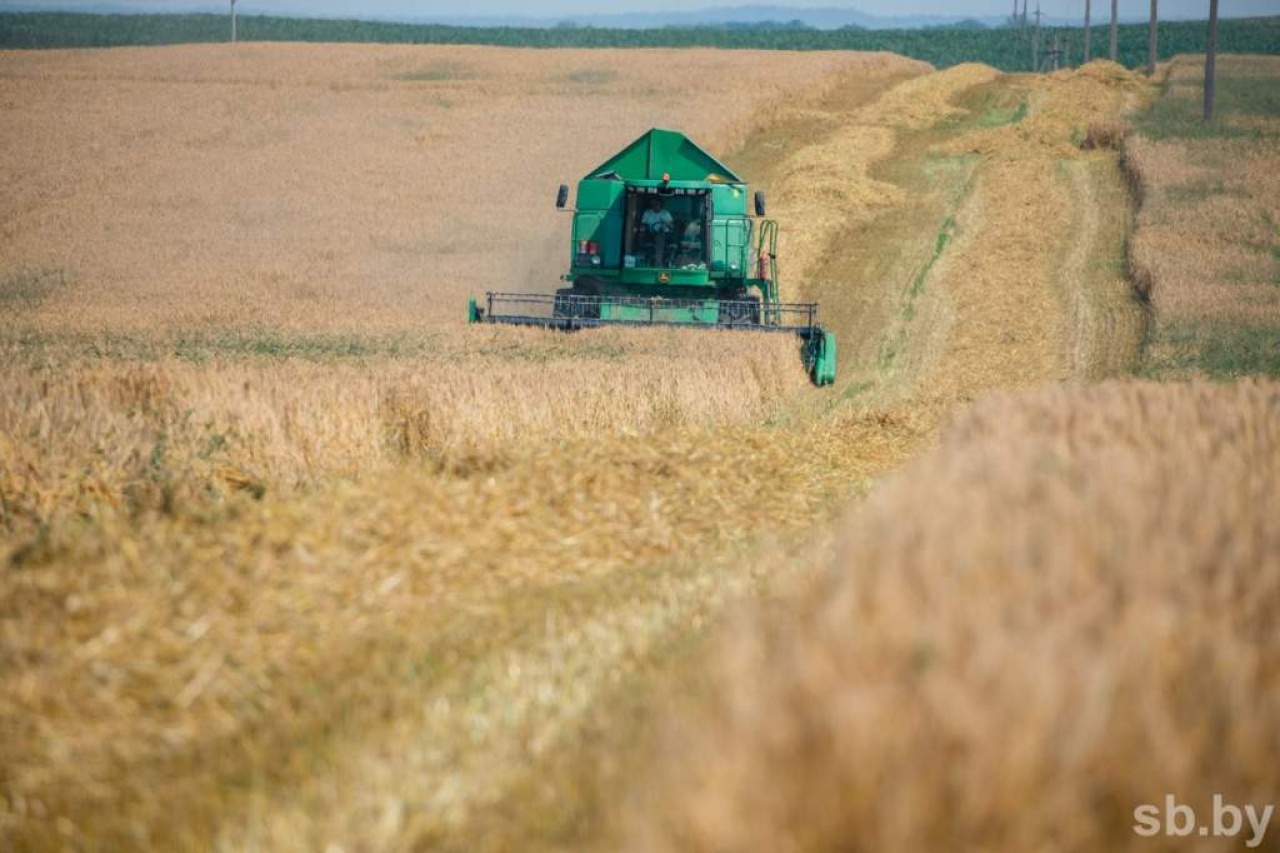 Уборка озимого ячменя 2021