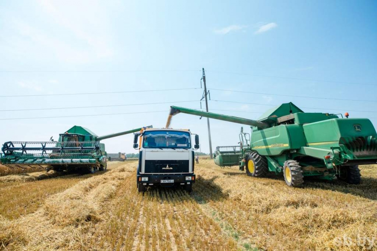 Уборка озимого ячменя 2021