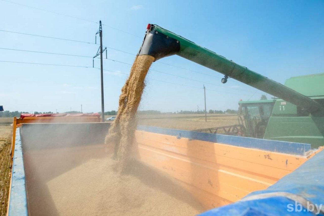 Уборка озимого ячменя 2021