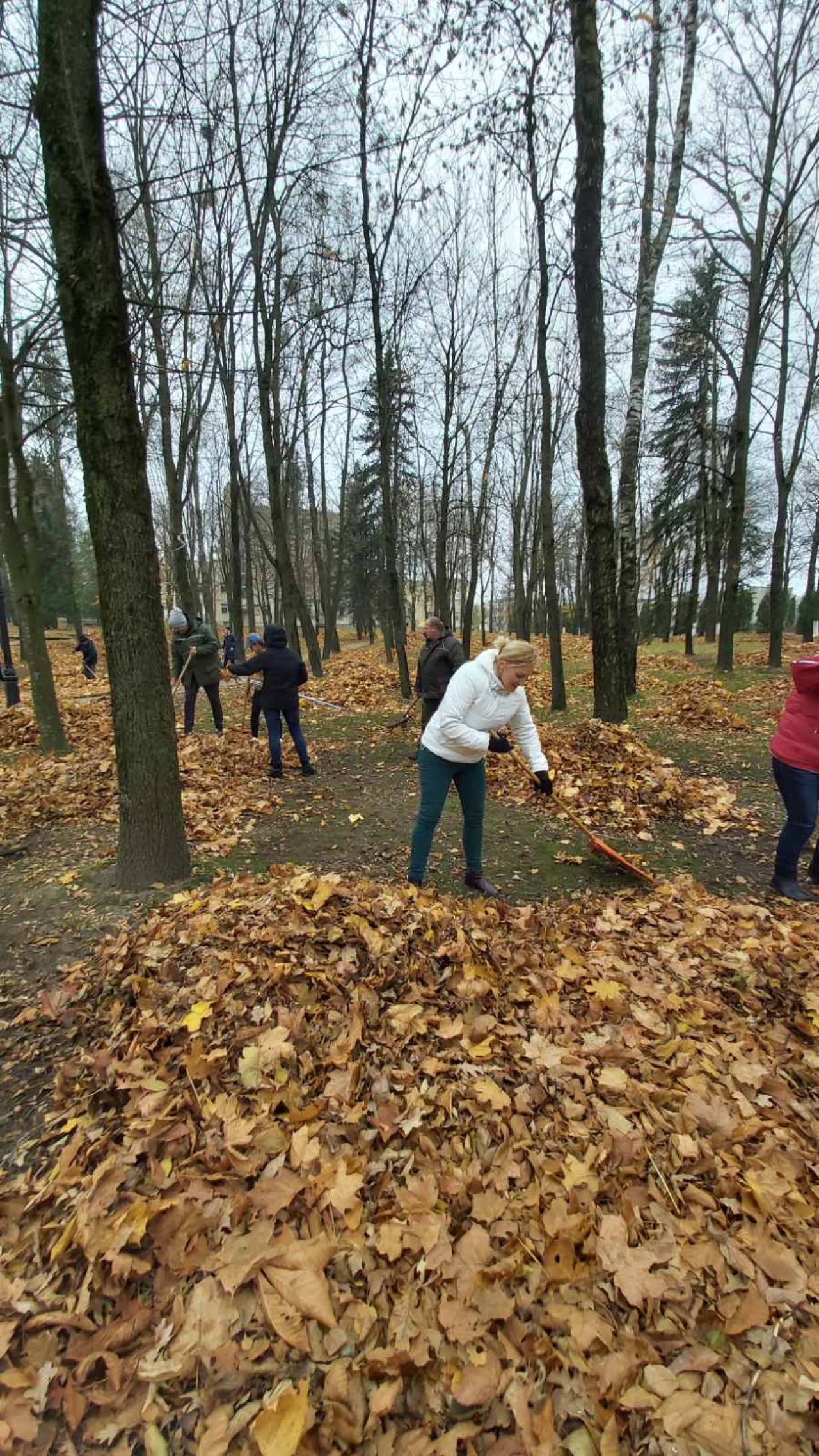 Акция «Труд объединяет»
