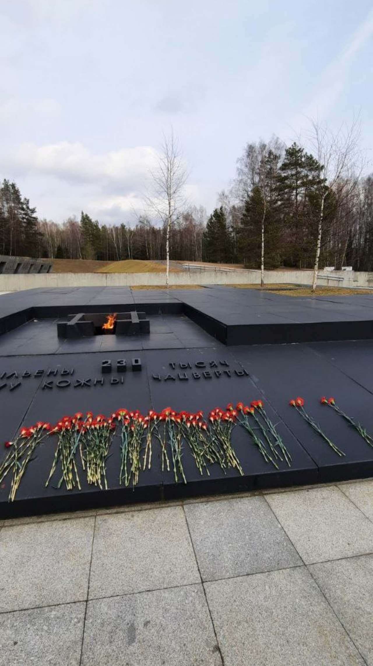 Линия Сталина