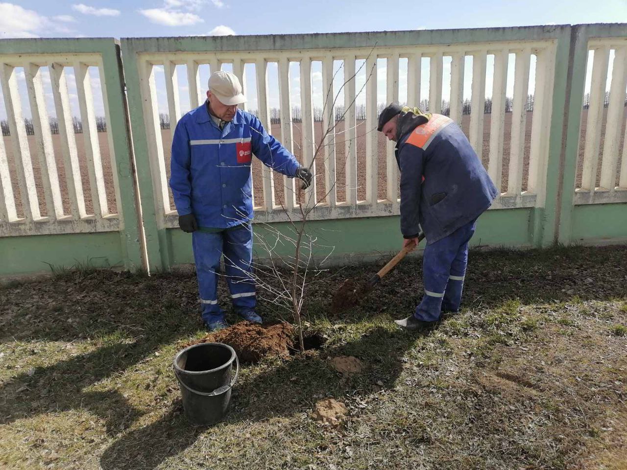 Трудовые коллективы СПК «Прогресс-Вертелишки» наводят порядок в аг Вертелишки и на производстве