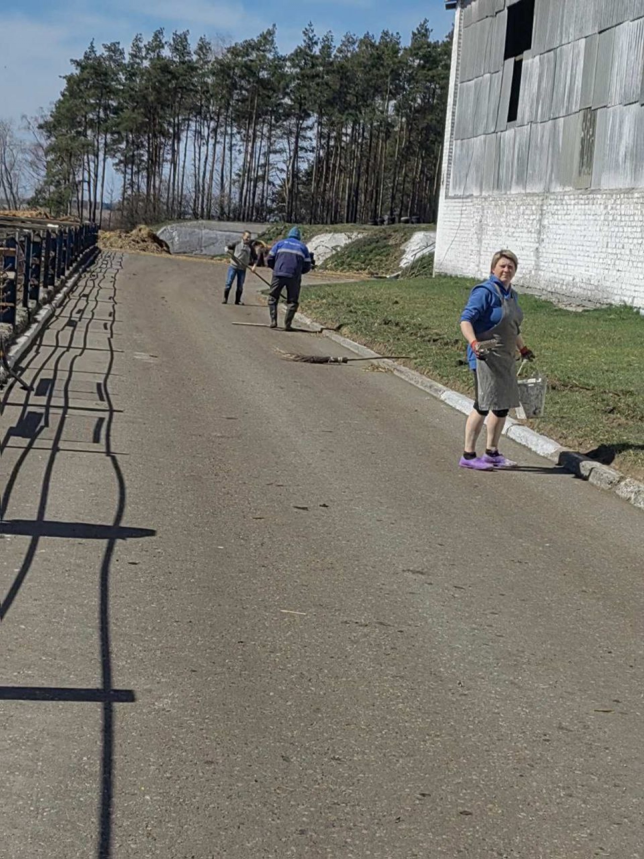 Трудовые коллективы СПК «Прогресс-Вертелишки» наводят порядок в аг Вертелишки и на производстве
