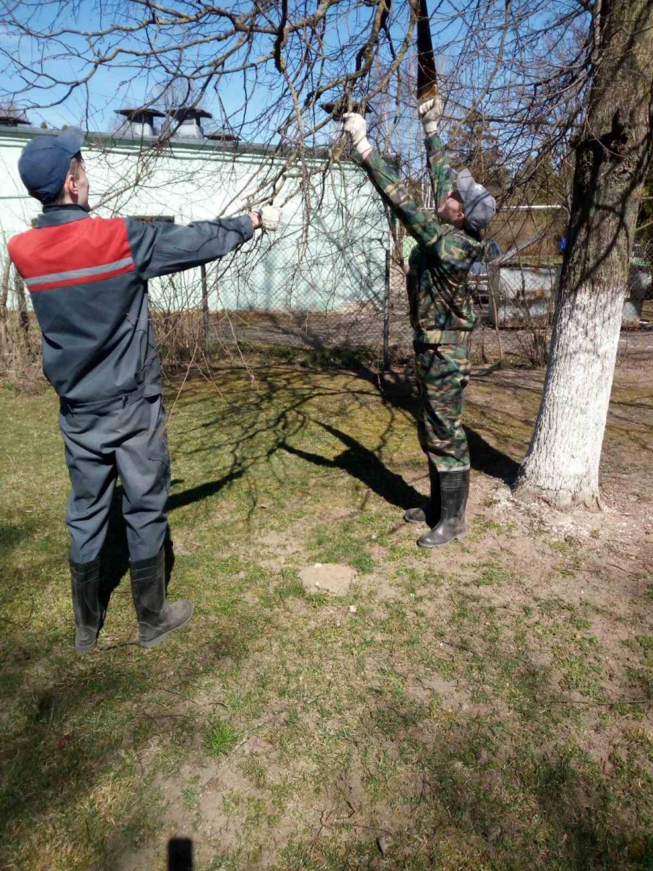 Трудовые коллективы СПК «Прогресс-Вертелишки» наводят порядок в аг Вертелишки и на производстве