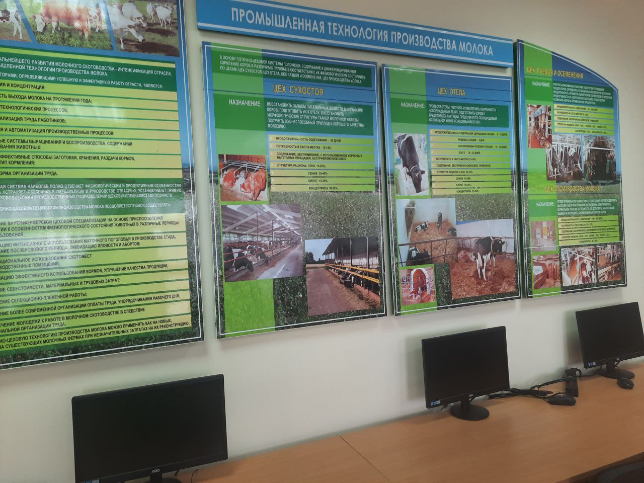 photo_2022-06-21 17.17.56