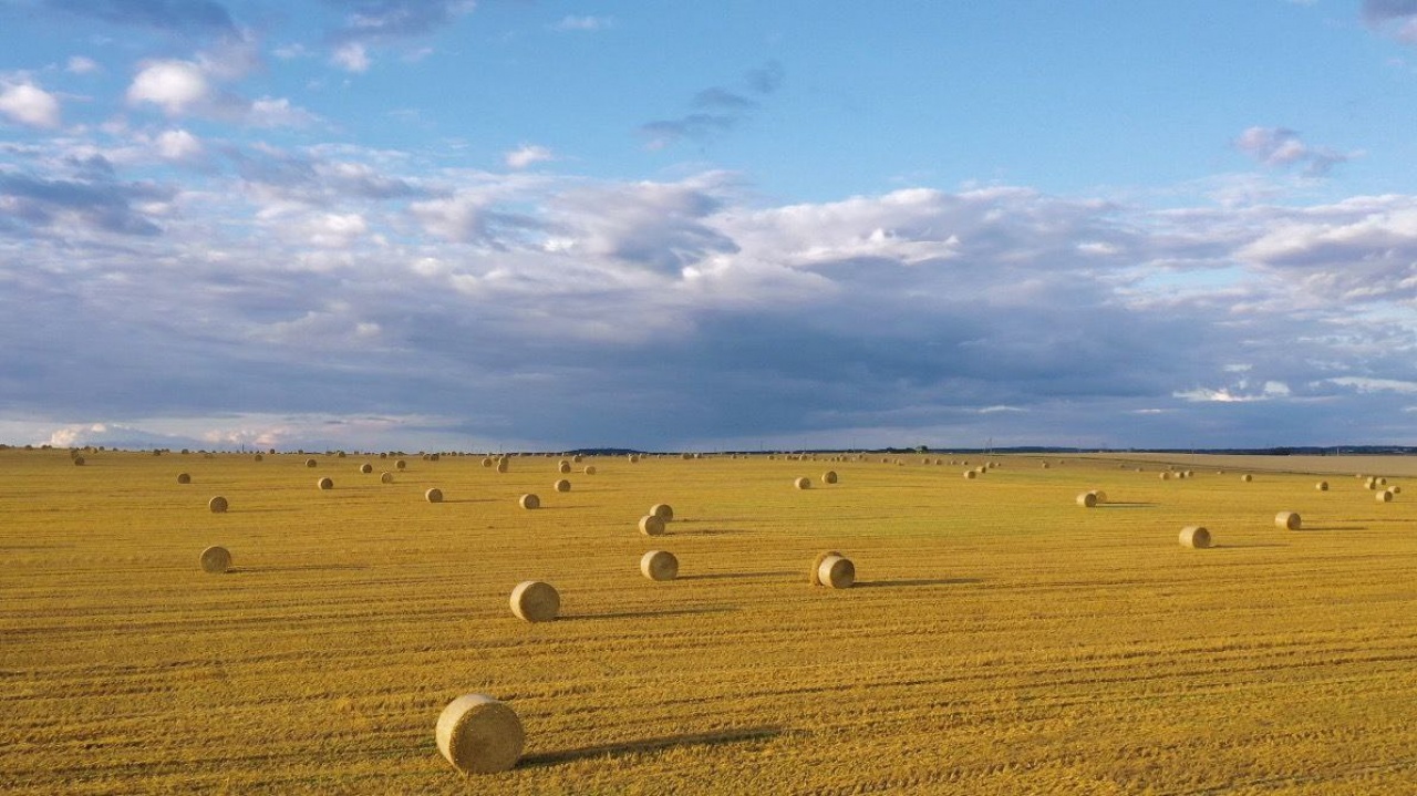 Уборочная страда 2022