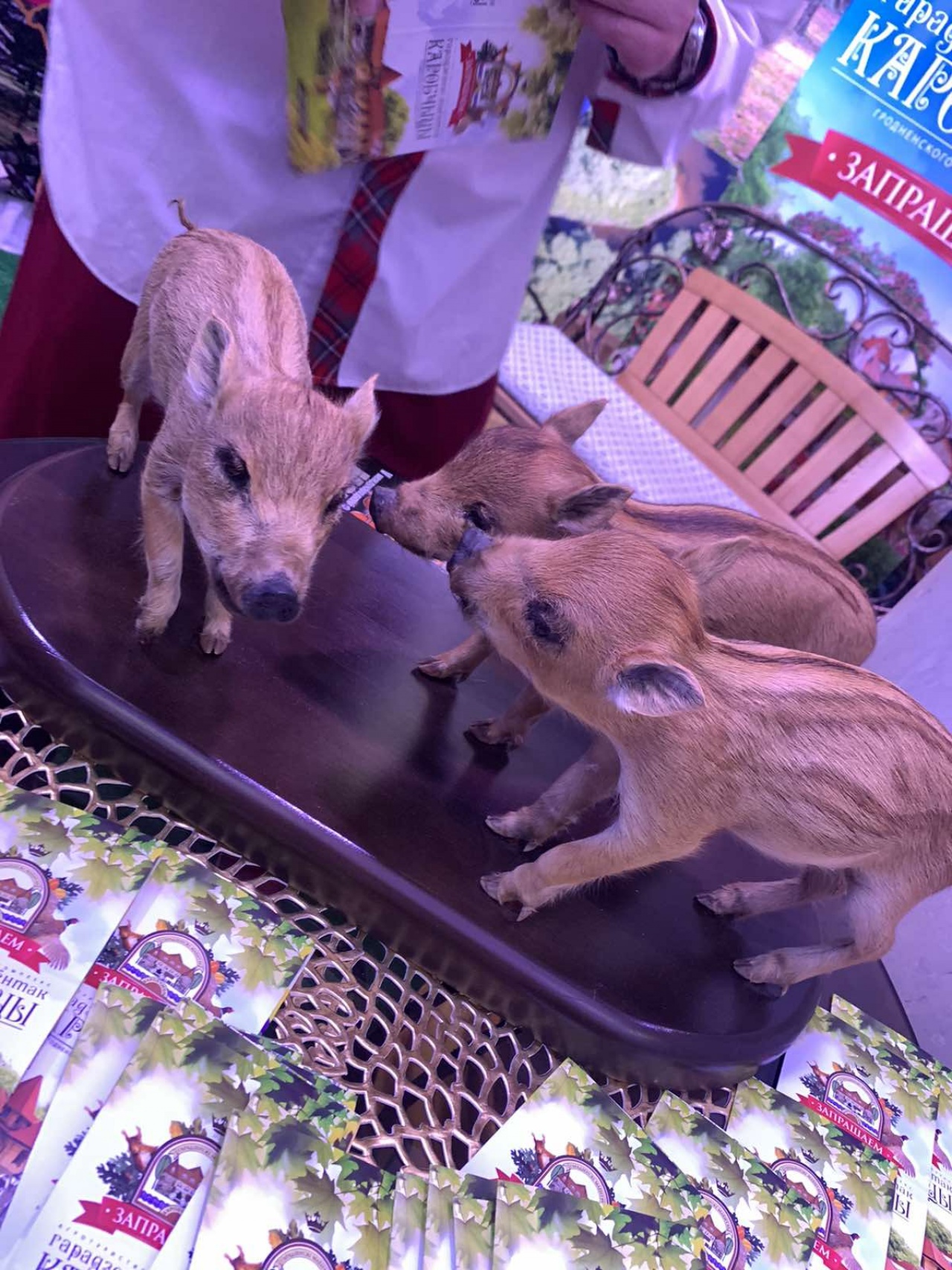 IMG-7c573acc36d2722505bc3bafe996f88b-V