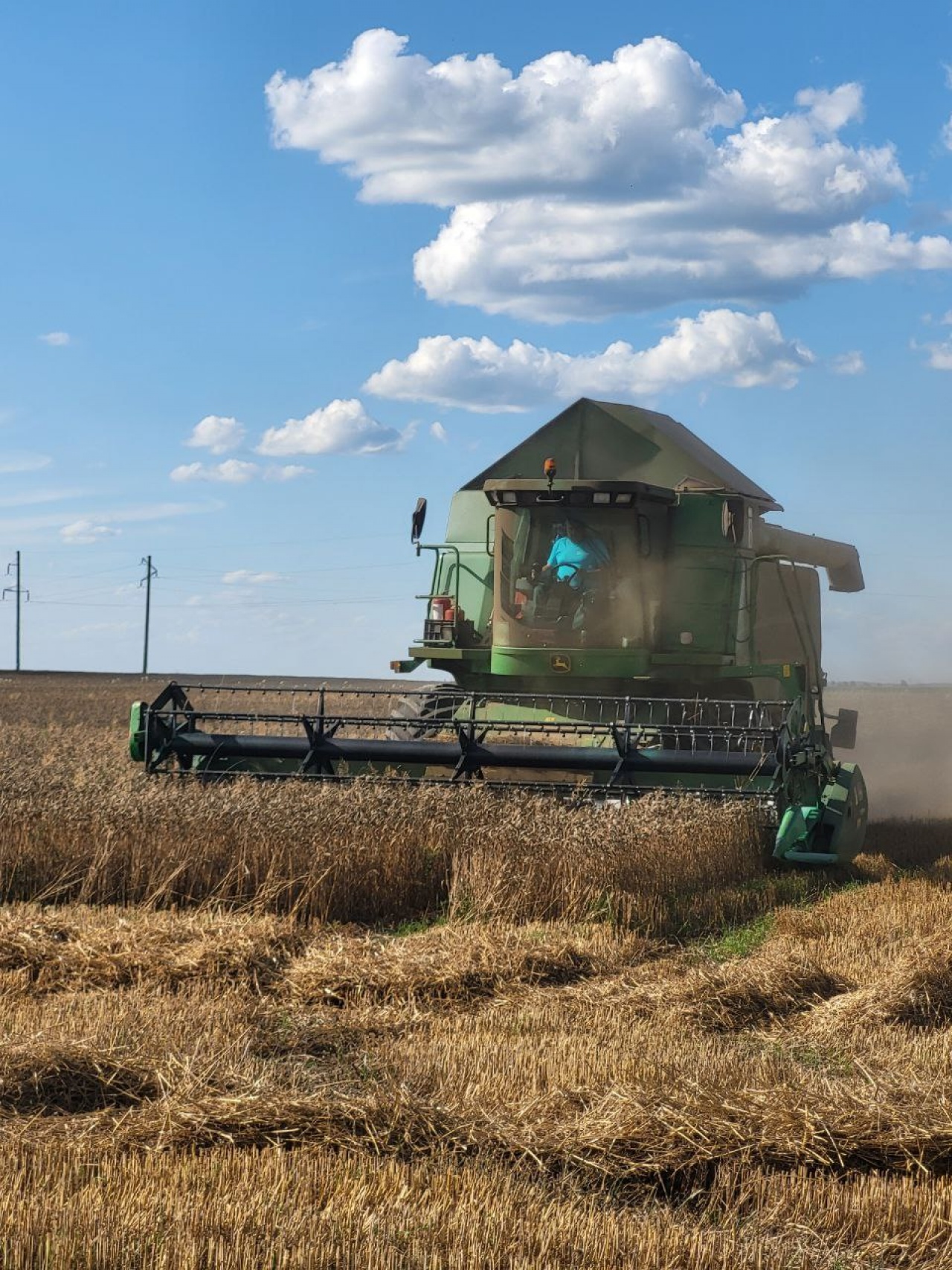 photo_2024-10-31 18.07.11