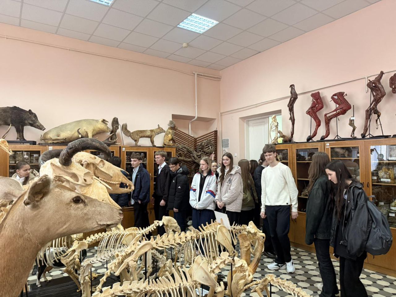 photo_2026-04-03 17.32.29