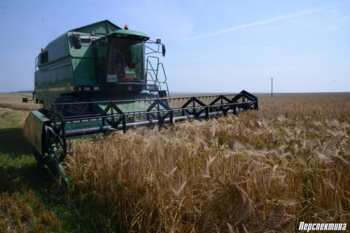 В СПК «Прогресс-Вертелишки» активно идет уборка озимого ячменя