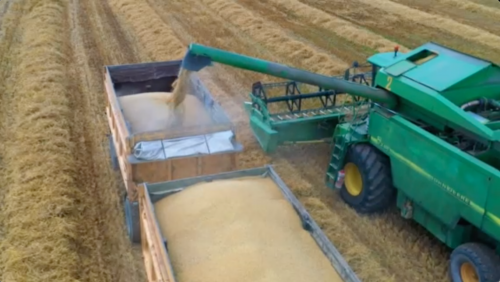 Красивые зарисовки уборочной страды 2022 в Прогресс-Вертелишки